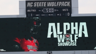 IPS OBSERVATIONS: Alpha Wolf Showcase Workout Scoop