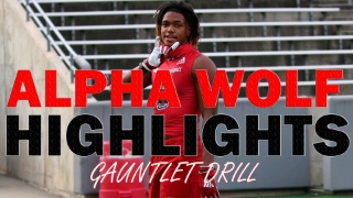 ALPHA WOLF HIGHLIGHTS: Gauntlet Drill